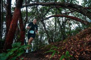 BIB: 
                            <button type="button" onclick="openModal(26346206)" class="btn btn-primary btn-sm float-right btn-popup" data-toggle="modal" data-target=".modal-high-quality">
                        <i class="fas fa-shopping-cart"></i> Add to Cart
                    </button>
                                            <button type="button" onclick="isThisMe(26346206, true)" class="btn btn-success btn-sm float-right btn-popup btn-isme hidden" data-toggle="tooltip" data-placement="bottom" title="นี่คือรูปของคุณใช่ไหม คลิกที่นี่เพื่อเอาเข้าอัลบั้ม">
                        <i class="fas fa-plus"></i> Add to album
                    </button>
                    <button type="button" onclick="isThisMe(26346206, false)" class="btn btn-warning btn-sm float-right btn-popup btn-isnotme hidden">
                        <i class="fas fa-ban"></i> Remove from album
                    </button>